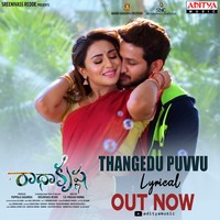 VV Vinayak Launches Radhakrishna Movie Song